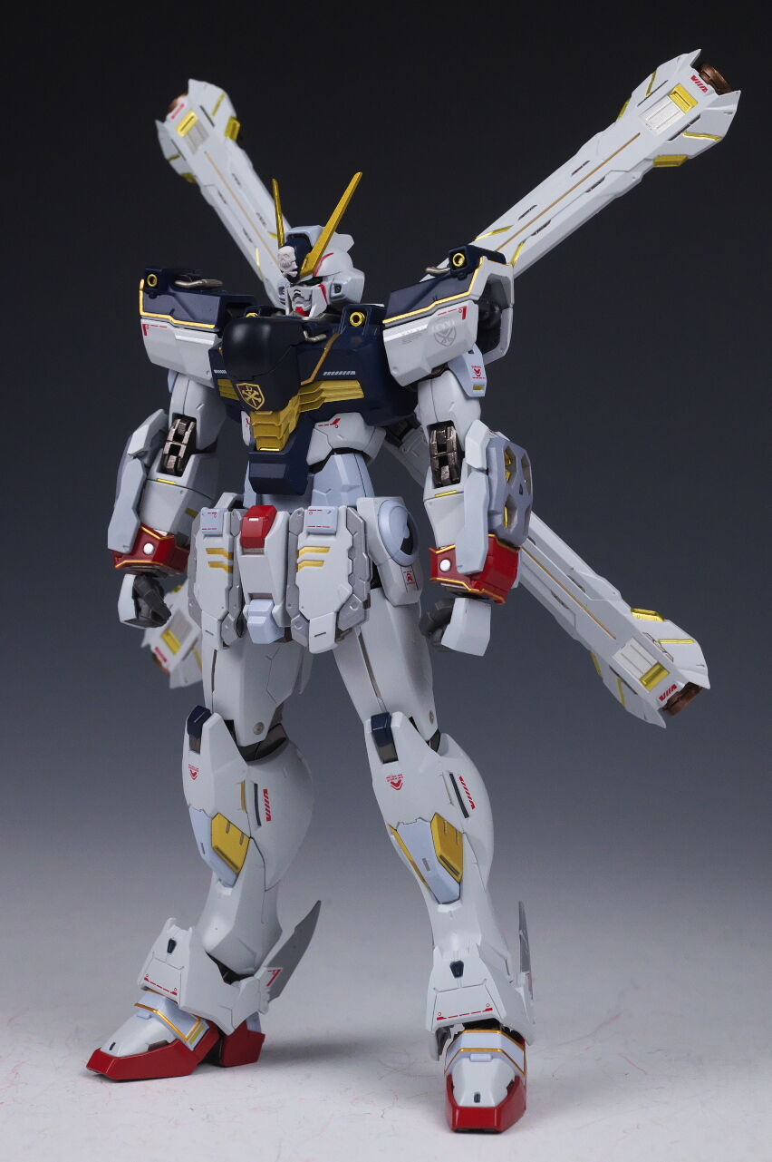METAL BUILD クロスボーン・ガンダムX1 ハーフクロス