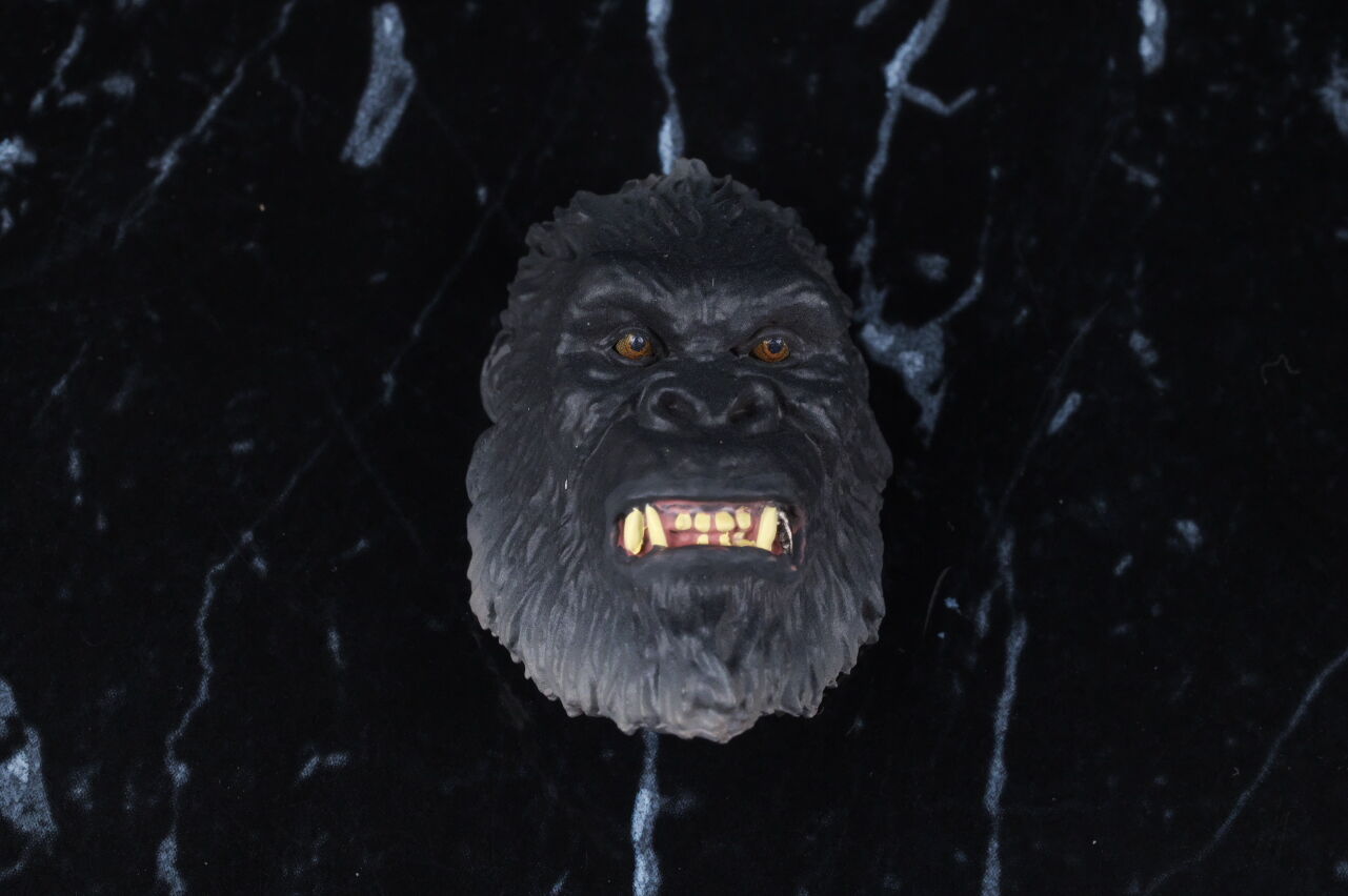 S.H.モンスターアーツ SHIMO FROM GODZILLA × KONG: THE NEW
