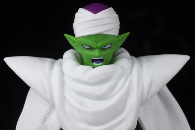 DSC_9795