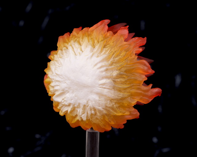 P00_4838