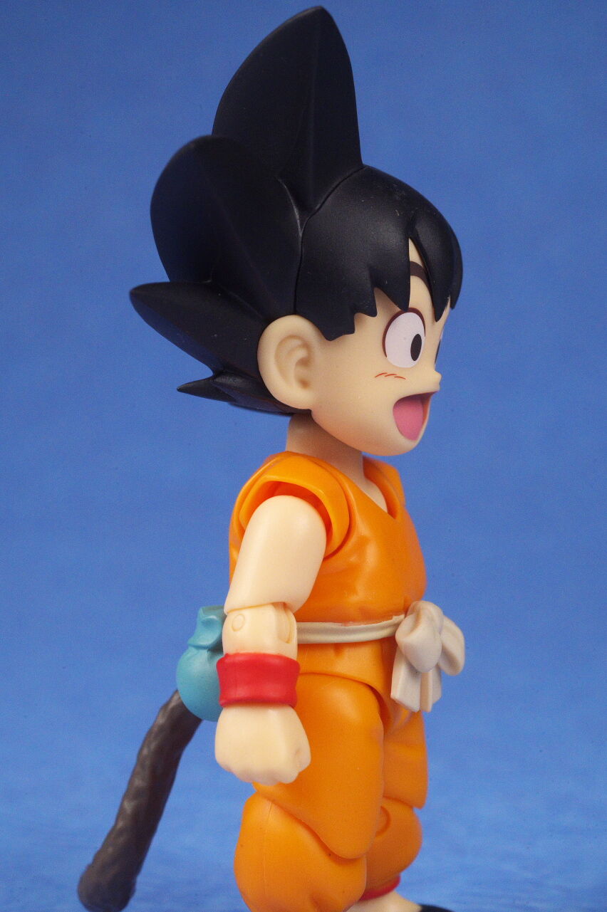 S.H.フィギュアーツ 孫悟空＆龍-40周年記念Edition- レビュー