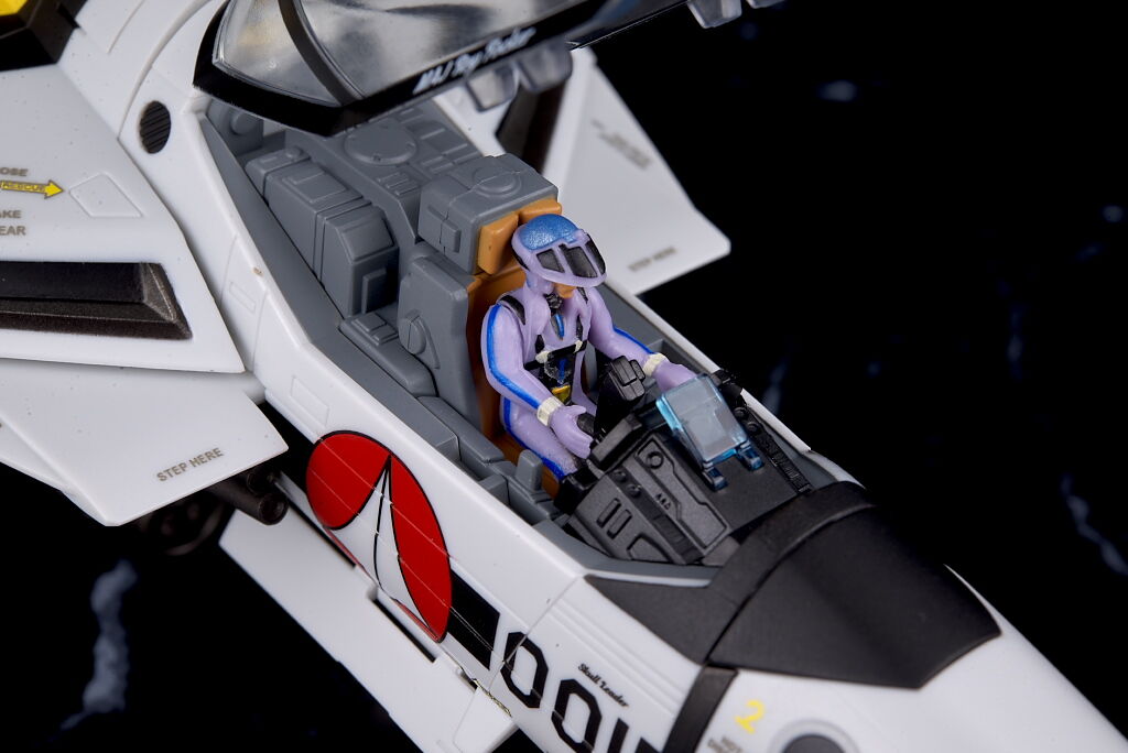 DX超合金 初回限定版VF-1S バルキリー ロイ・フォッカー DX超合金 初回限定版VF-1S バルキリー ロイ・フォッカー