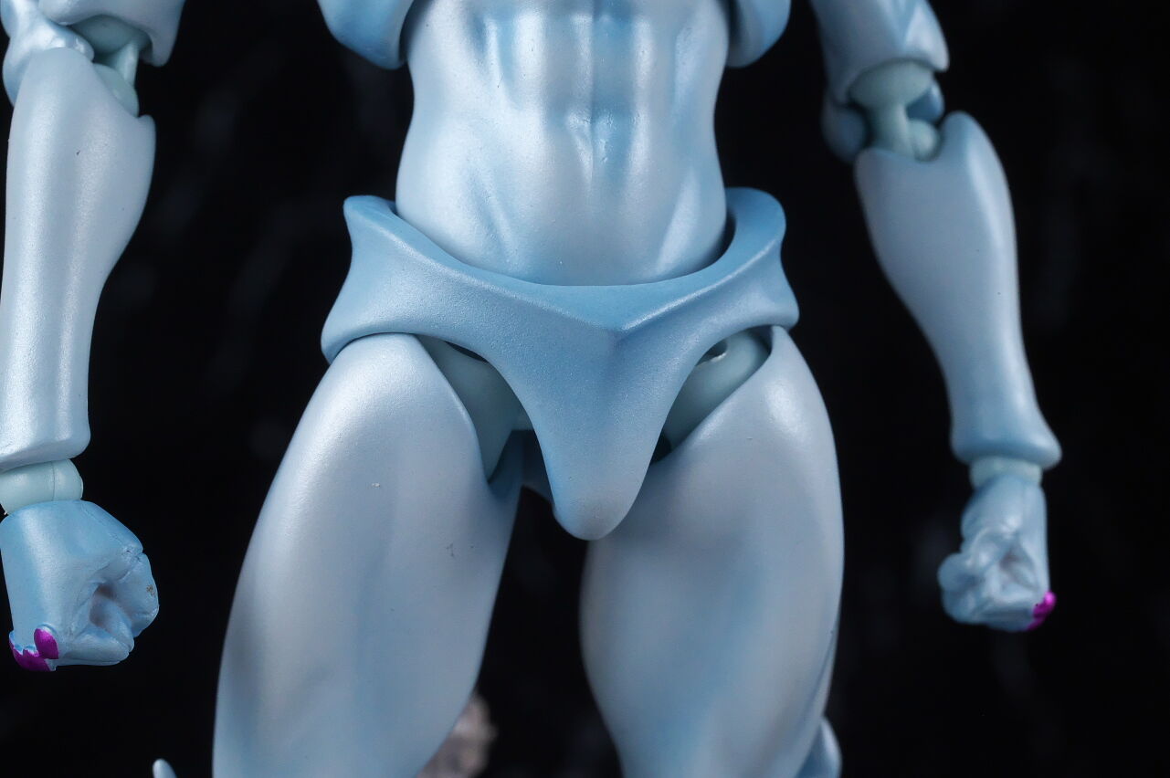 超像可動 W・R レビュー : はっちゃか