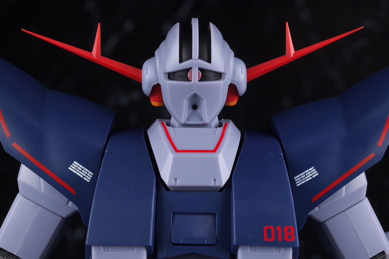 ROBOT魂 パーフェクトジオング ver. A.N.I.M.E. レビュー : はっ ROBOT魂 パーフェクトジオング ver. A.N.I.M.E. レビュー : はっ