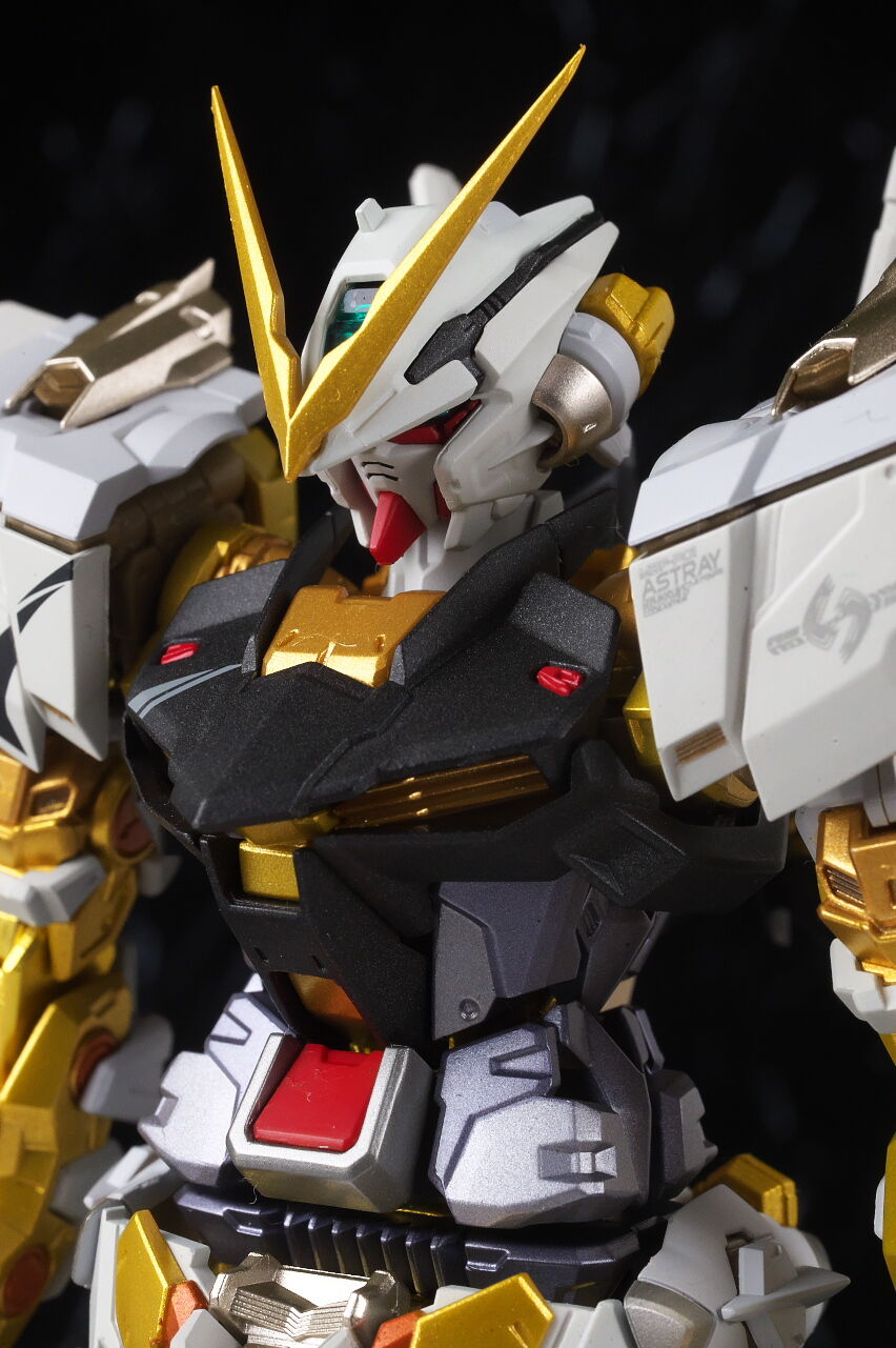 METAL BUILD ガンダムアストレイ ゴールドフレーム（オルタナティブ