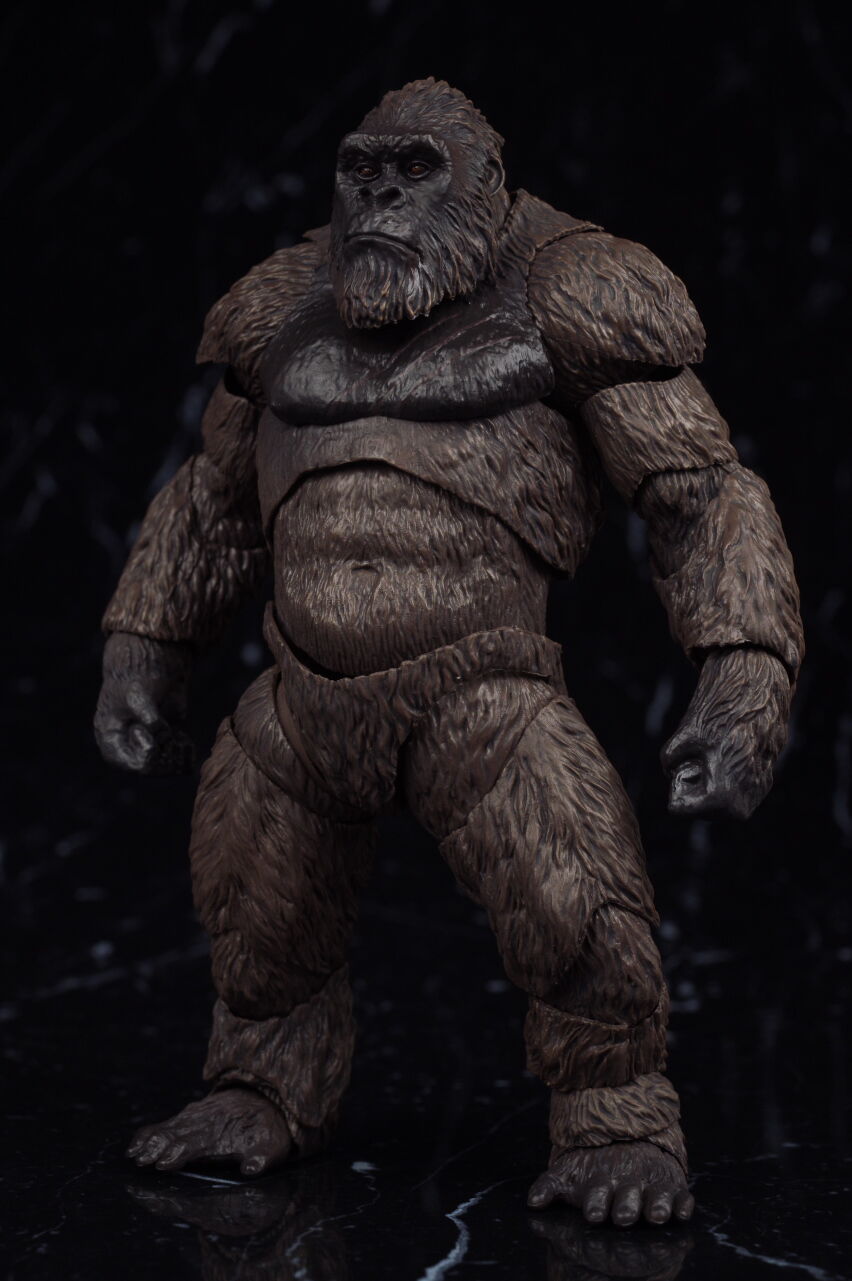 S．H．MonsterArts KONG (2021）キングコング　モンアツ