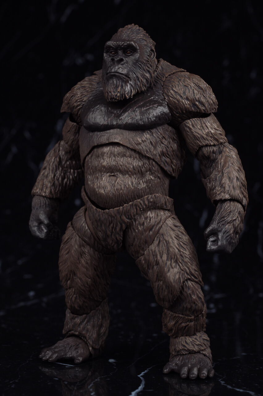 S.H.モンスターアーツ KONG FROM GODZILLA VS. KONG(2021) レビュー