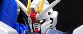 RG フリーダムガンダム レビュー