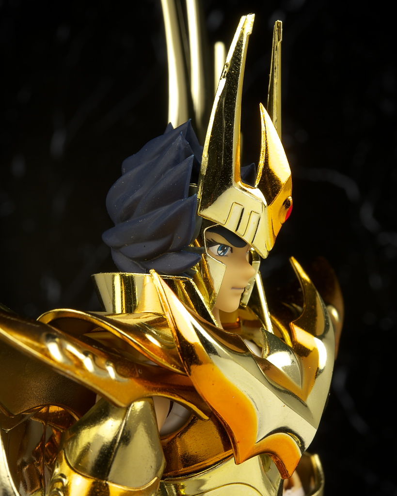 聖闘士聖衣神話 フェニックス一輝 神聖衣 -10th Anniversary
