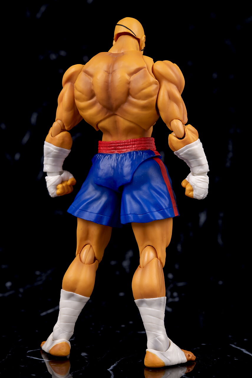適当な価格 新品未開封 サガット S.H.フィギュアーツ - ゲームキャラクター