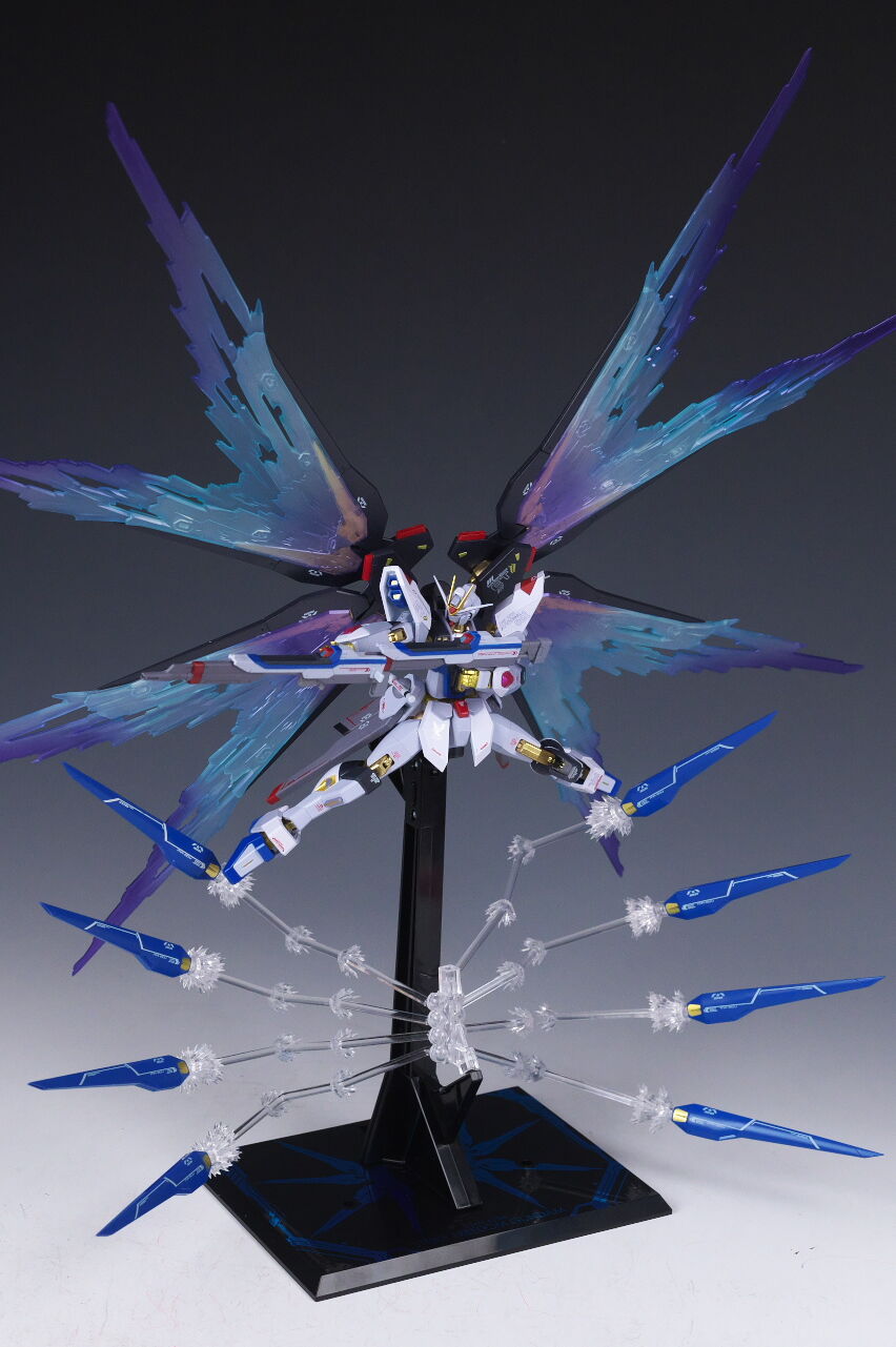 METAL ROBOT魂 ストライクフリーダムガンダム[Re:Coordinate]専用 光の