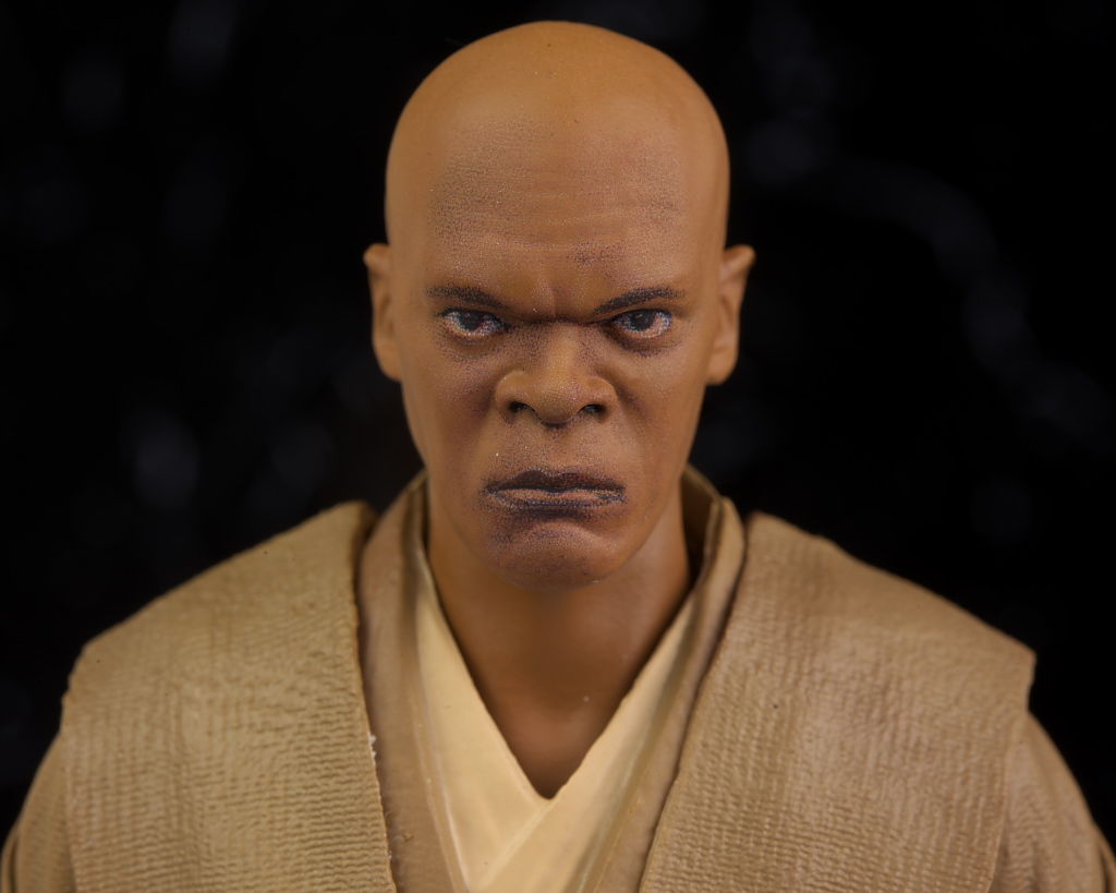 S.H.フィギュアーツ メイス・ウィンドゥ レビュー : はっちゃか