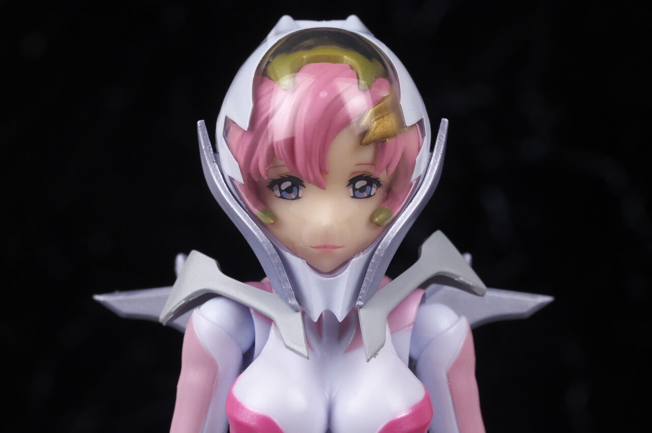 SHFiguarts ラクス・クライン パイロットスーツVer.ライドオン レビュー】S.H.Figuarts ラクス・クライン（パイロットスーツVer