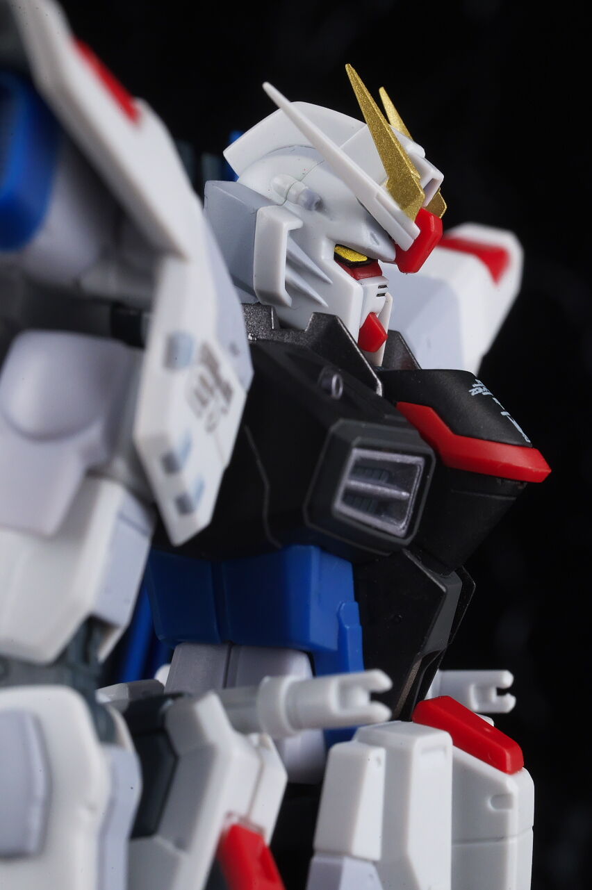 ROBOT魂 フリーダムガンダム Ver.GCP レビュー : はっちゃか ROBOT魂 フリーダムガンダム Ver.GCP レビュー : はっちゃか