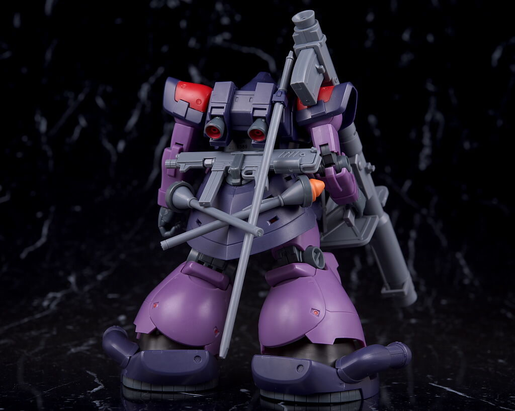 ROBOT魂 ドム・トローペン ver. A.N.I.M.E. レビュー : はっちゃか