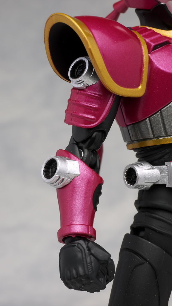 や*や様 S.H.フィギュアーツ　仮面ライダーライア 人生に玩具あり2式 【S.H.フィギュアーツ「仮面ライダーライア」】