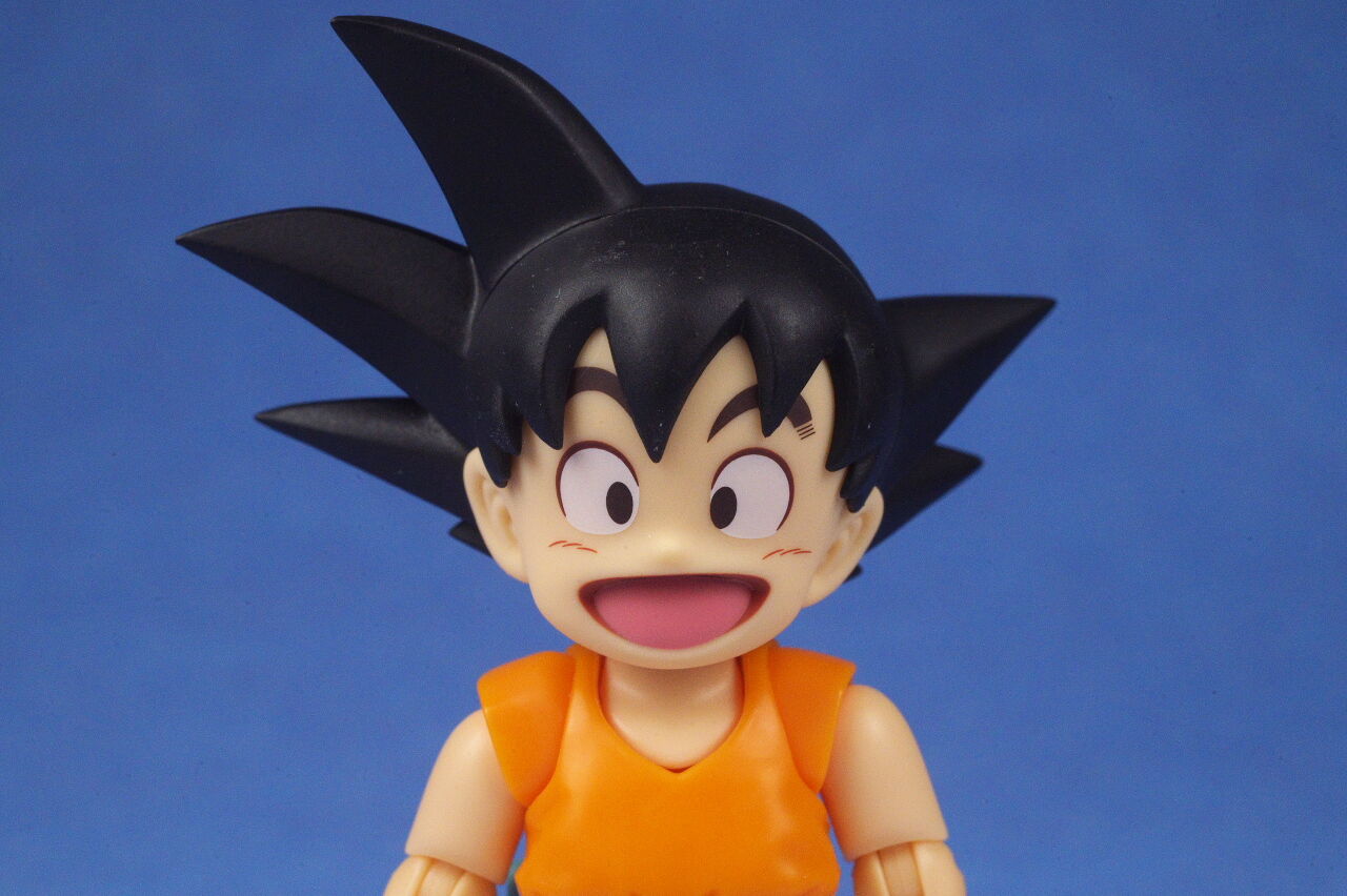 S.H.フィギュアーツ 孫悟空＆龍-40周年記念Edition- レビュー