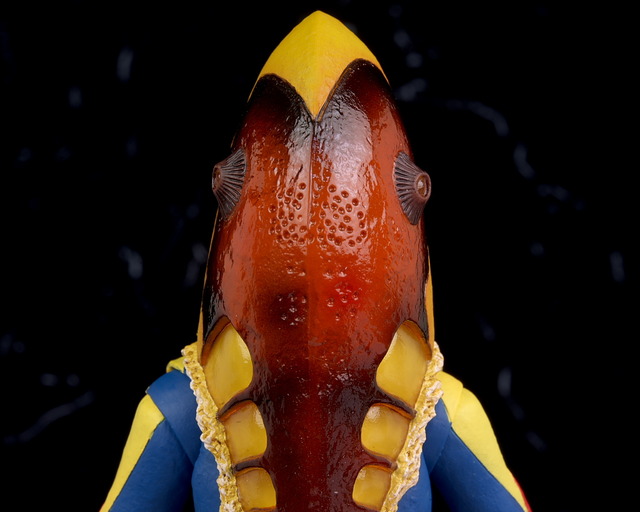 P00_7525