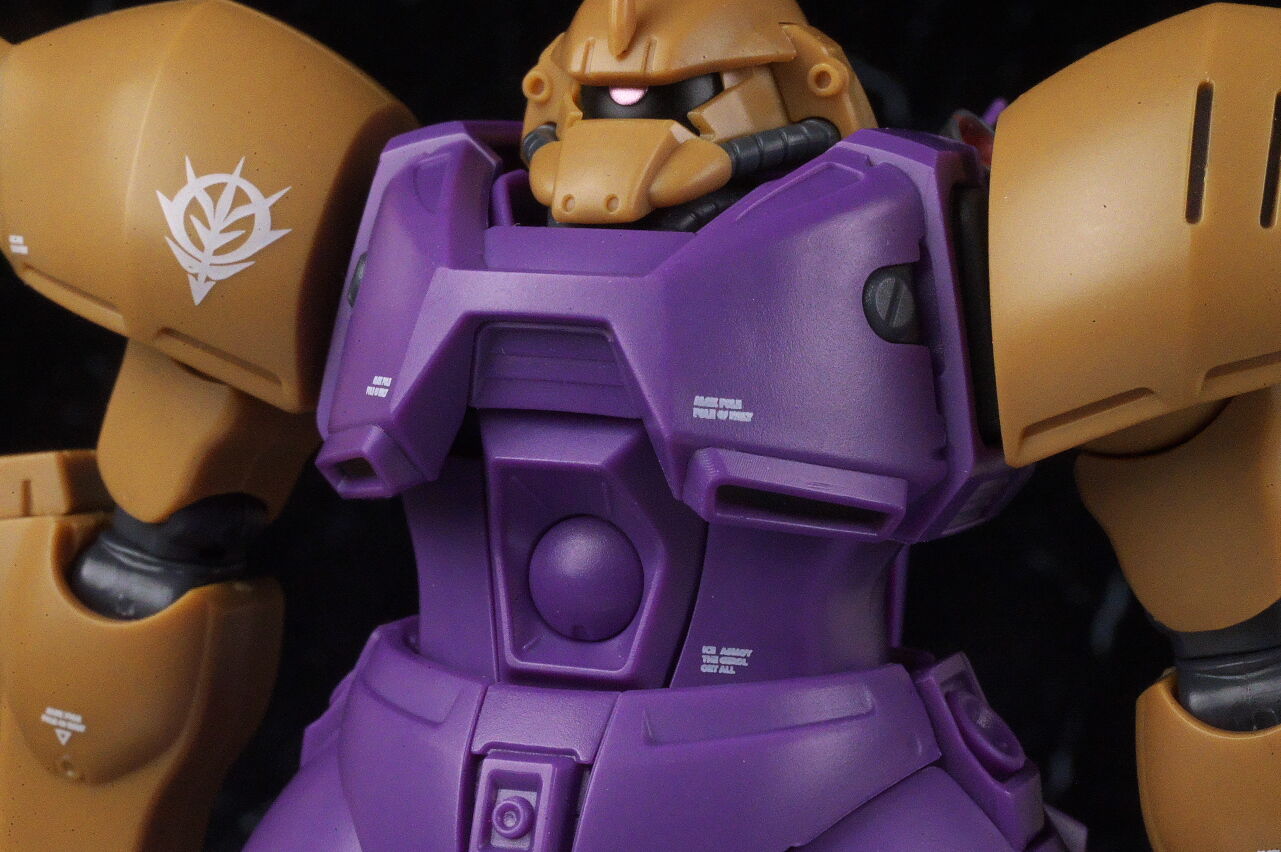ROBOT魂 ゲルググM指揮官機（シーマ・ガラハウ機） ver