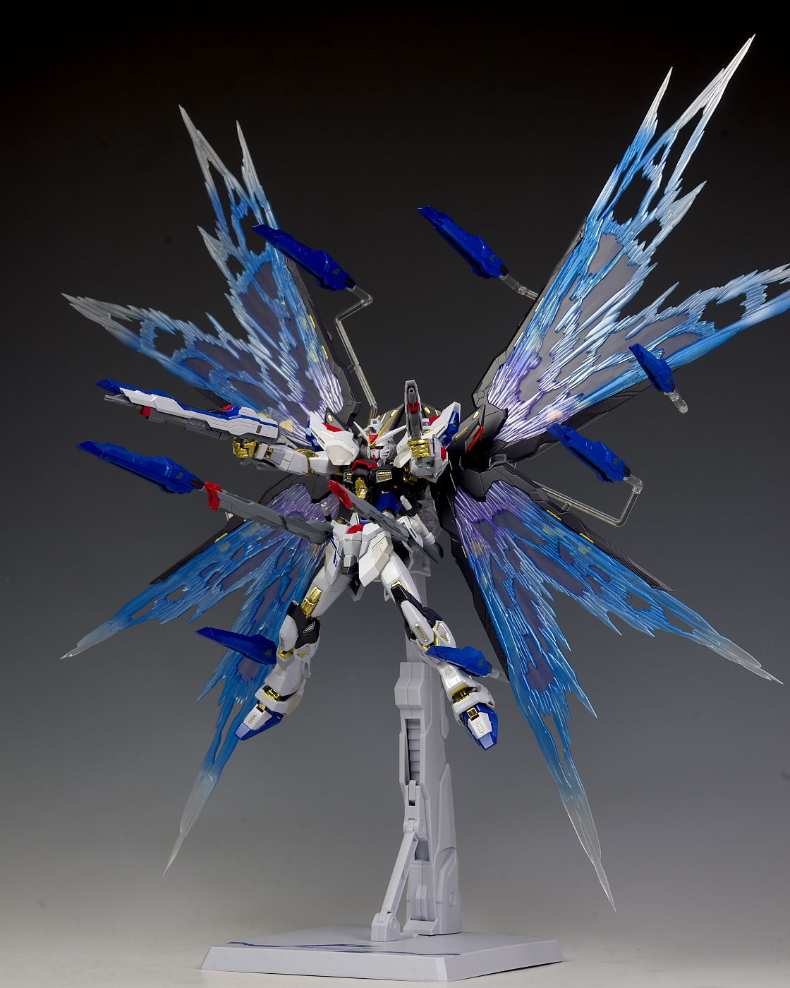 METAL BUILD ストライクフリーダムガンダム 光の翼オプションセット-