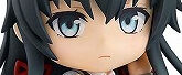 ねんどろいど やはり俺の青春ラブコメはまちがっている。完 雪ノ下雪乃