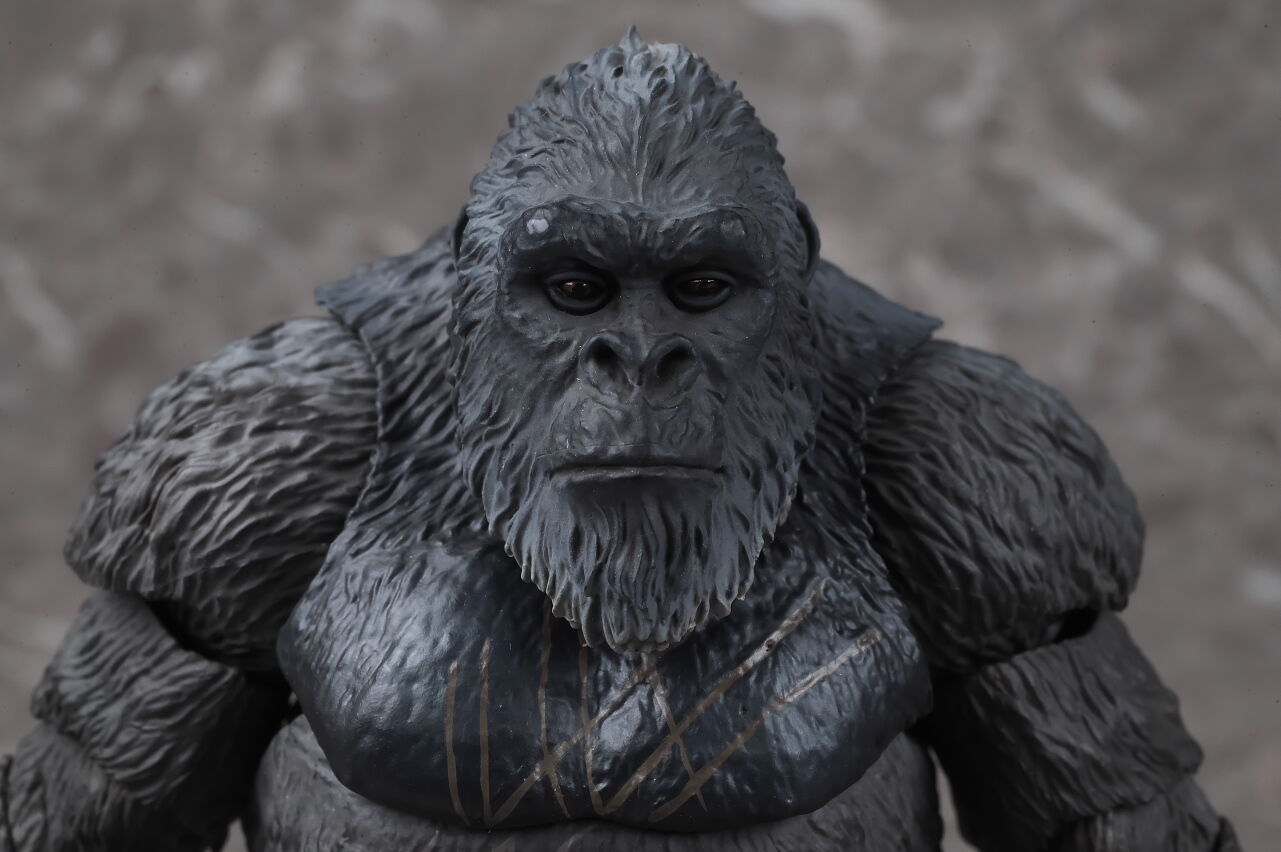 S.H.モンスターアーツ KONG FROM GODZILLA x KONG： THE NEW EMPIRE