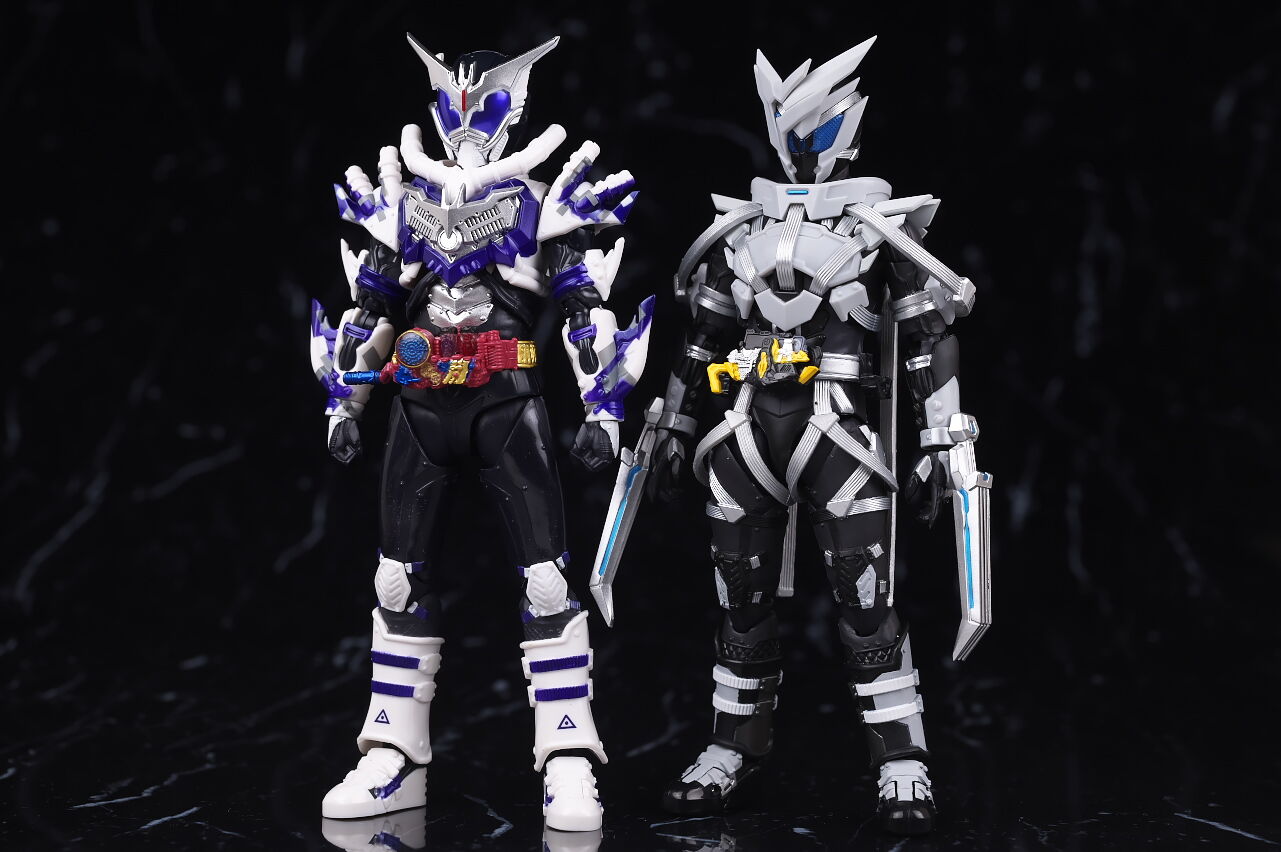 S.H.フィギュアーツ 仮面ライダー亡 レビュー : はっちゃか