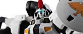 GUNDAM UNIVERSE 新機動戦記ガンダムW OZ-00MS TALLGEESE