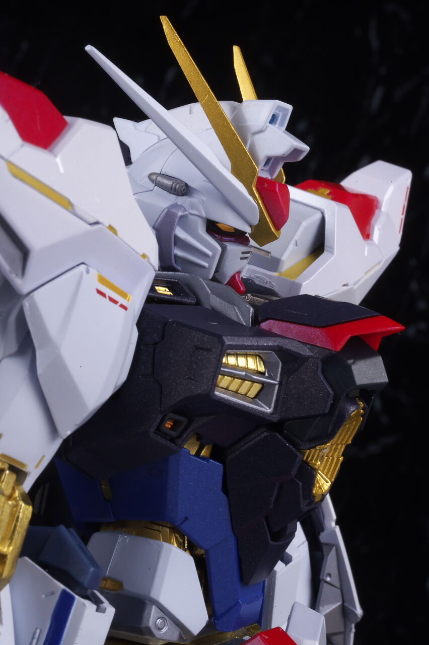 METAL BUILD ストライクフリーダムガンダム [METAL BUILD METAL BUILD ストライクフリーダムガンダム [METAL BUILD