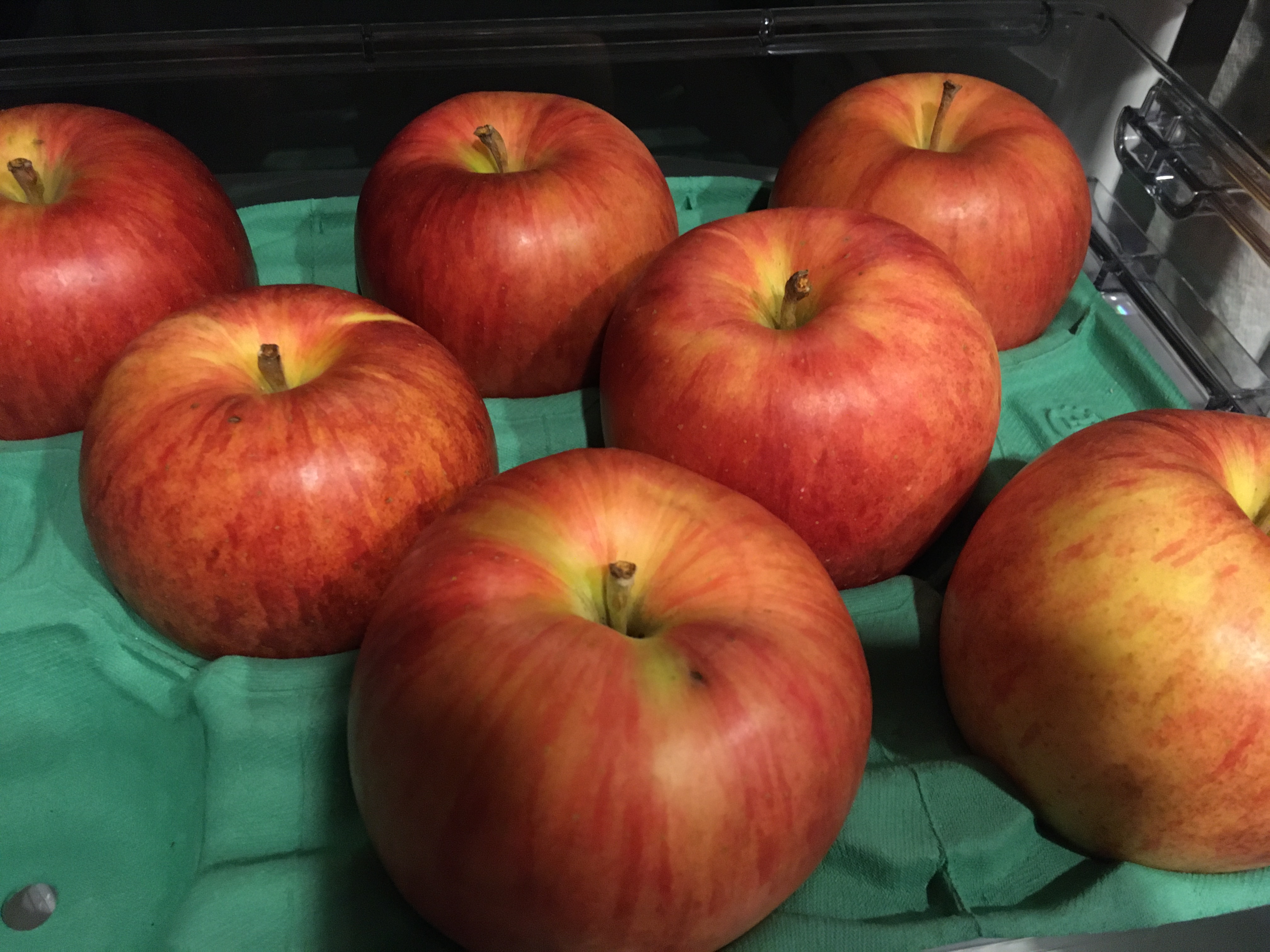 コストコ青森つがるりんご Hachi 1129の日記