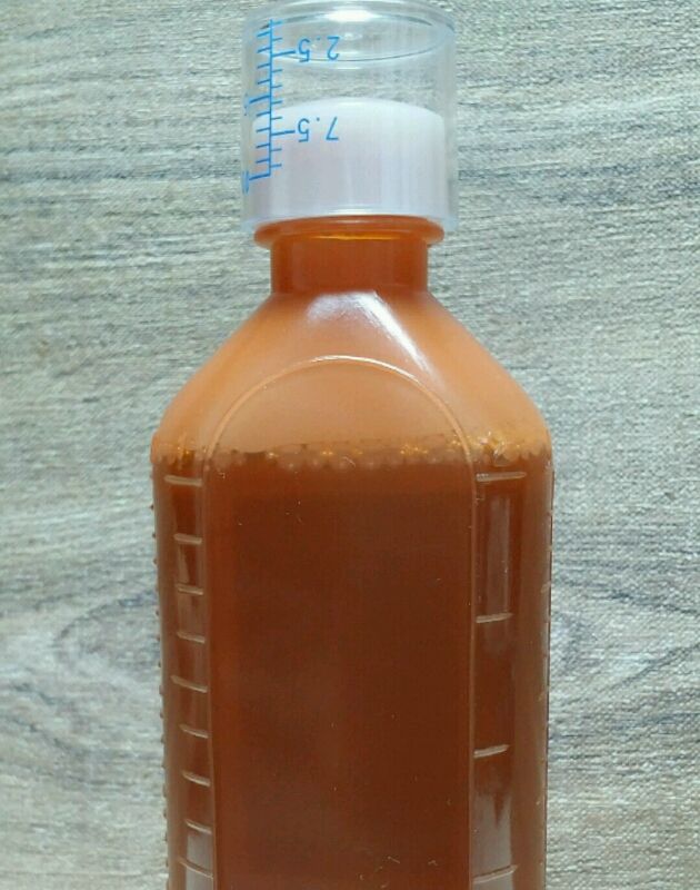 クエン酸第一鉄サワイ インクレミンシロップ Hachi 1129の日記