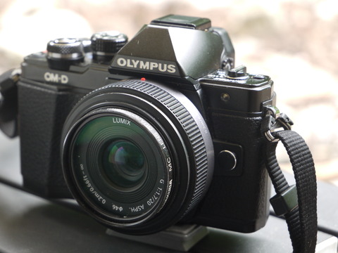 86ae4651-s.jpg