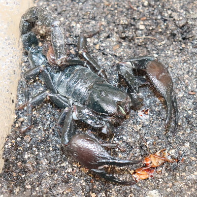 20231217174635_IMG_0694