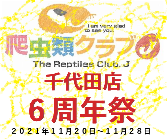 千代田店周年祭内容 爬虫類倶楽部 ｊ ジョイフル本田千代田店