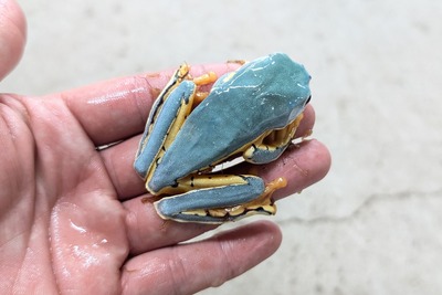 PXL_20251127_110416942~2