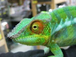 IMG_5586