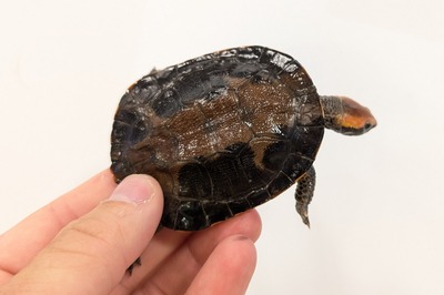 PXL_20251009_062747598~2