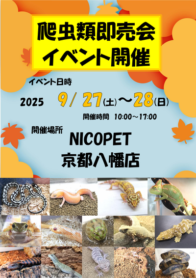 nicopet����ȬȨŹ���٥��_01