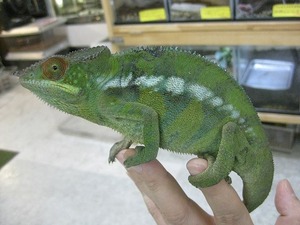 IMG_5555
