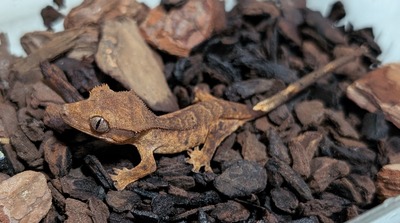 PXL_20251009_141054345~2