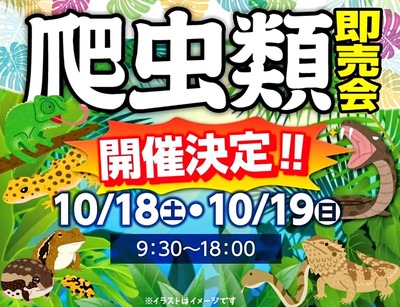 Screenshot_20251010-112822~2