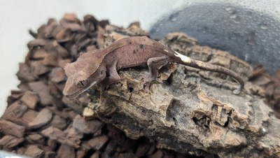 PXL_20251010_042233814