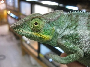 IMG_3405