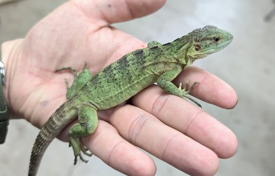 PXL_20251010_115839387~2