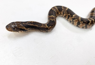 PXL_20251008_112844386~2