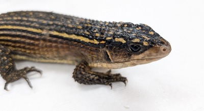 PXL_20251008_115029764~2