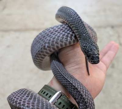 PXL_20251010_080009007