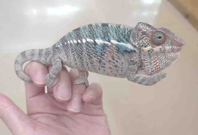 FullSizeRender