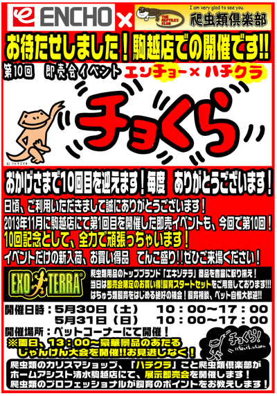 ��10����礯�顡���Ź