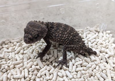 PXL_20251127_150605166